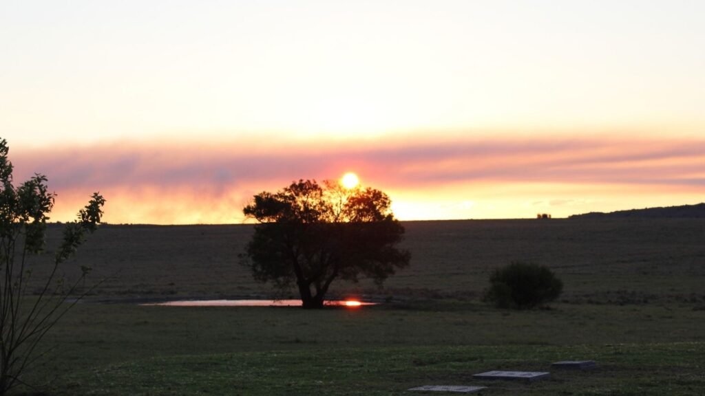 Silhouetted tree against a dramatic orange and pink sunset at Sibani Lodge